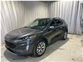 2020 Ford Escape Titanium Hybrid for sale 2020
Ford
Escape Titanium Hybrid